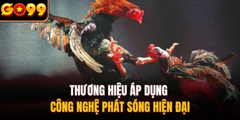 Thương hiệu áp dụng công nghệ phát sóng hiện đại